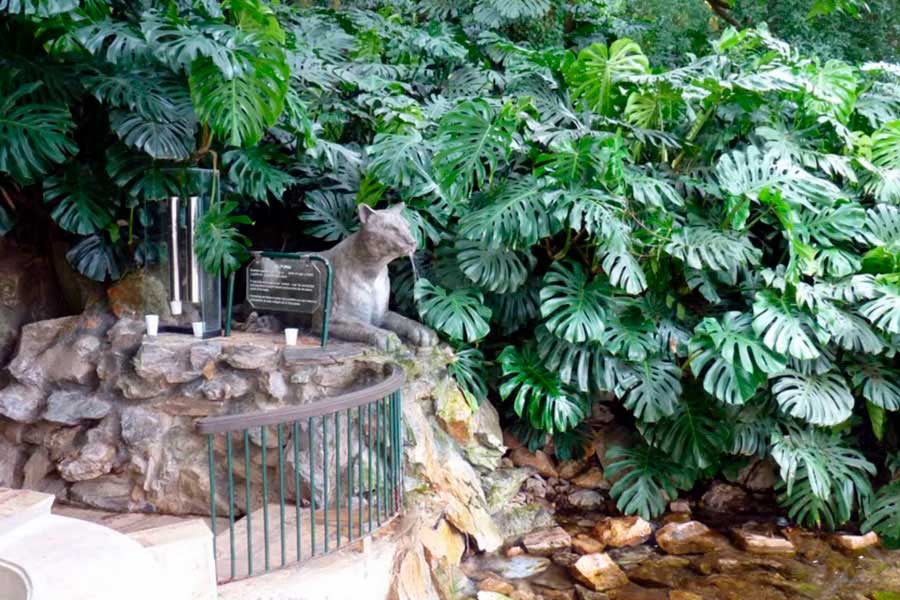 Minas Image